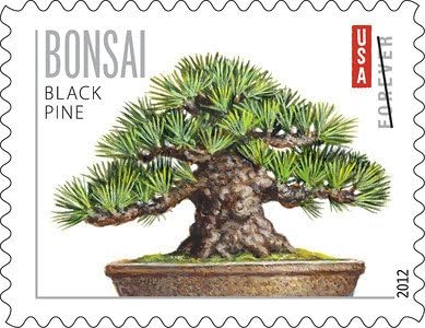 Forever Stamps 2012 Bonsai Trees – Cultural Heritage Collection, First-Class Postage