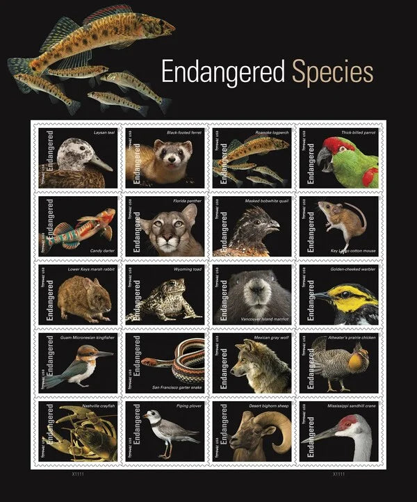 Forever Stamps 2023 Endangered Species – Wildlife Conservation, First-Class Postage