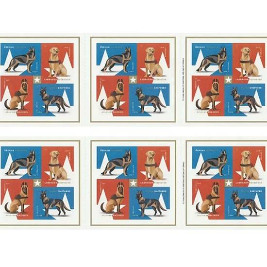 Forever Stamps 2019 Labrador Retriever – Honor & Service, First-Class Postage