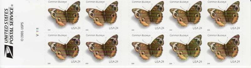 First Class Stamps 2006 Common Buckeye Butterfly – Nature Series, 24¢ Postage