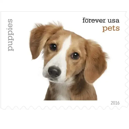 Forever Stamps 2016 Pets – Animal Companions (Puppies), First-Class Postage