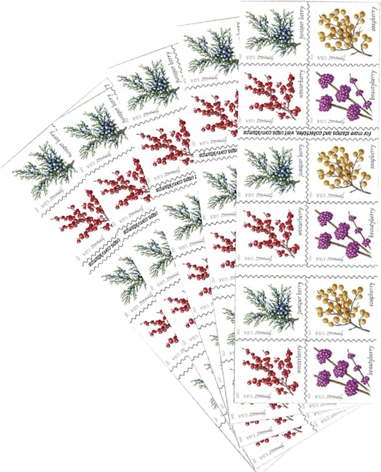 Forever Stamps 2019 Winter Berries – Seasonal Holiday Collection, First-Class Postage