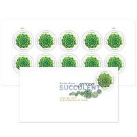 Global Forever Stamps 2017 Green Succulent – Nature Series, International Postage
