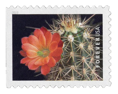 Forever Stamps 2019 Cactus Flowers – Nature Series, First-Class Postage