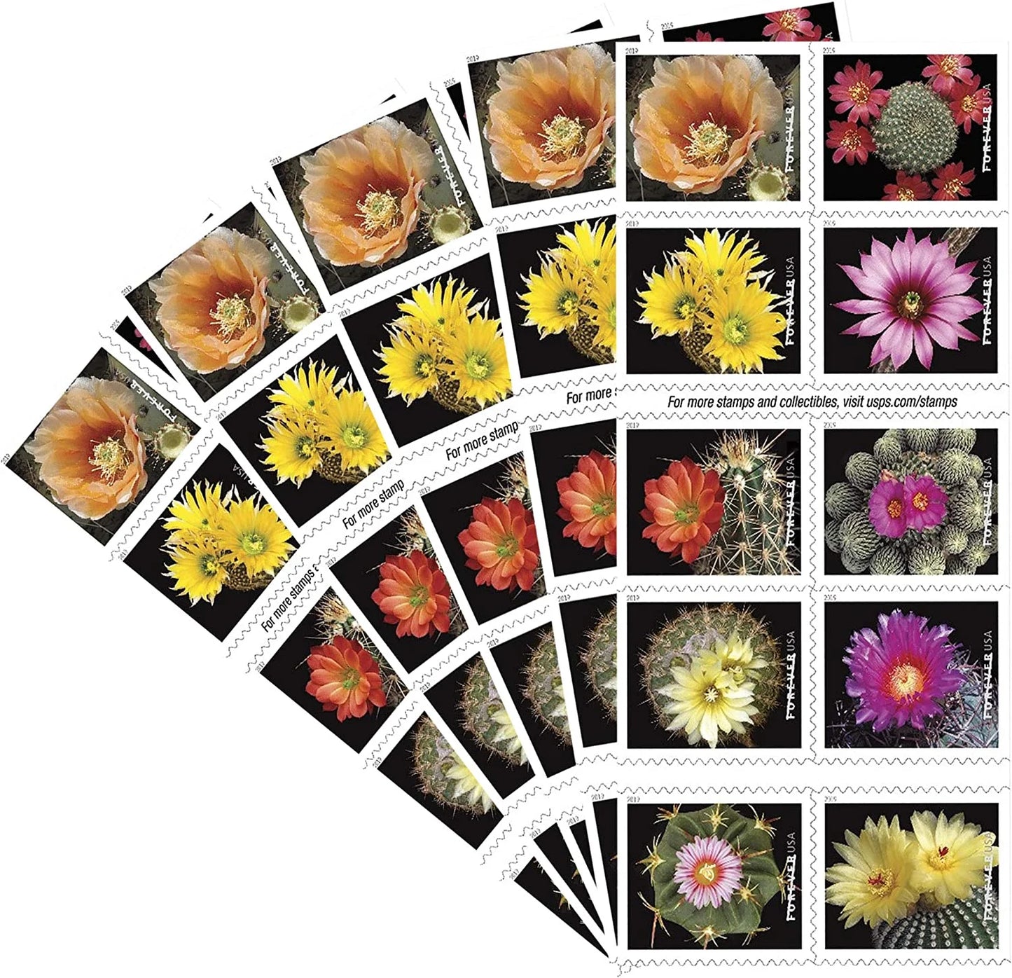 Forever Stamps 2019 Cactus Flowers – Nature Series, First-Class Postage