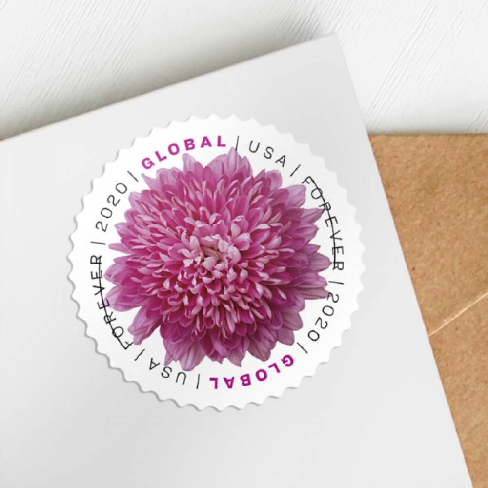Global Forever Stamps 2020 Chrysanthemum – Floral Collection, International Rate