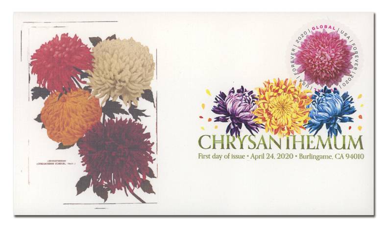 Global Forever Stamps 2020 Chrysanthemum – Floral Collection, International Rate