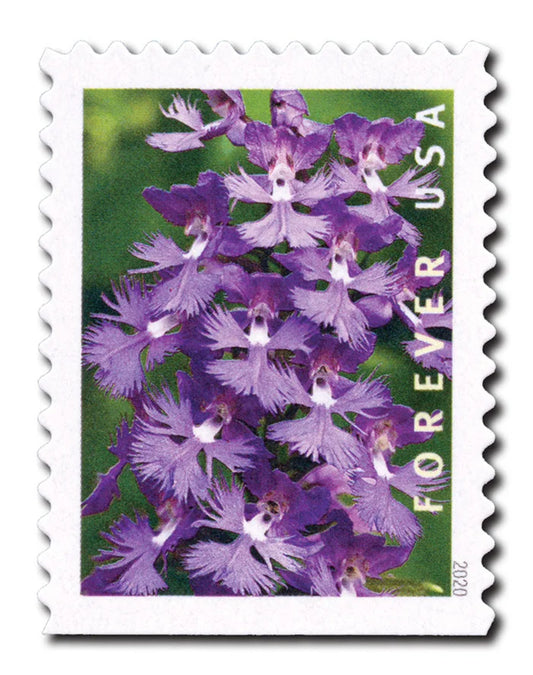 Forever Stamps 2020 Wild Orchids – Nature Series, First-Class Postage