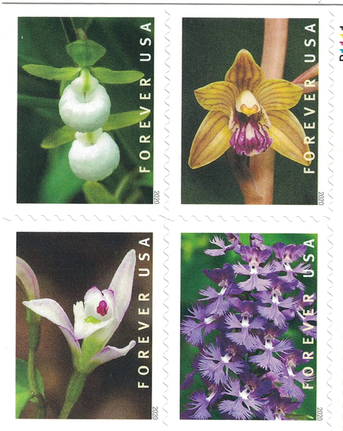 Forever Stamps 2020 Wild Orchids – Nature Series, First-Class Postage
