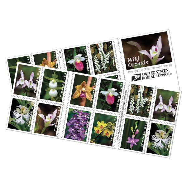 Forever Stamps 2020 Wild Orchids – Nature Series, First-Class Postage