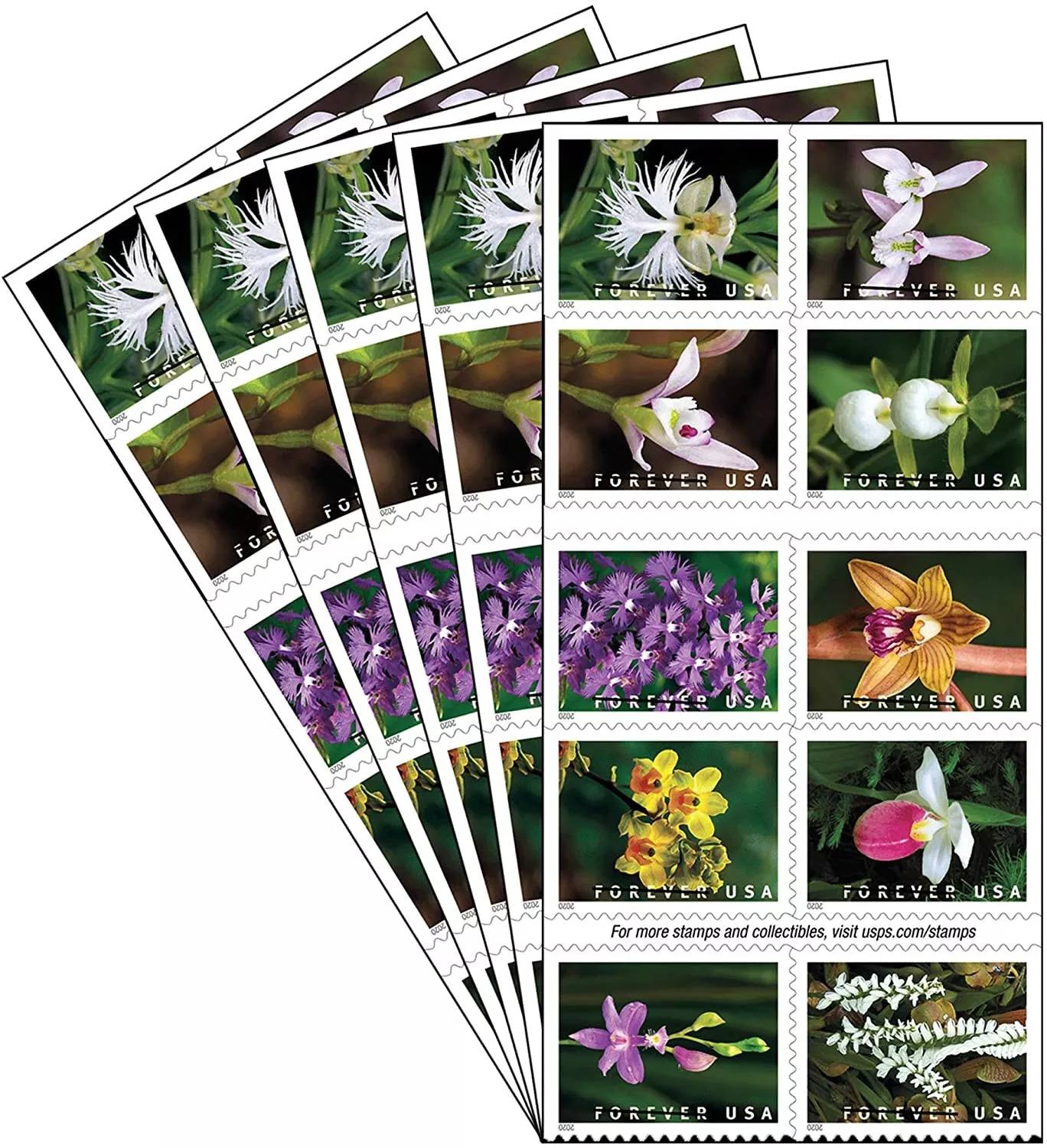Forever Stamps 2020 Wild Orchids – Nature Series, First-Class Postage
