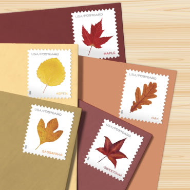 Postcard Rate Stamps 2025 Autumn Leaves – Nature Series, First-Class Rate