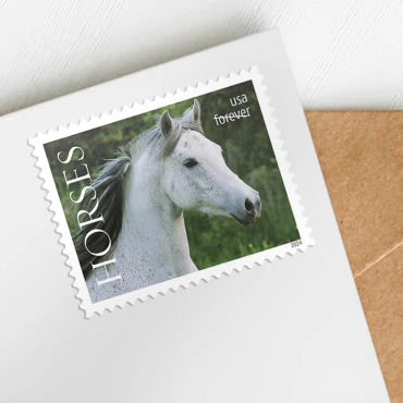 Forever Stamps 2024 Horses – Nature Series, First-Class Postage