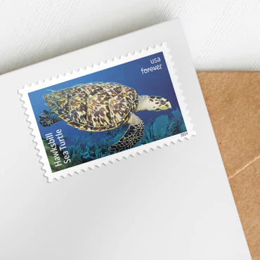 Forever Stamps 2024 Kemp’s Ridley Sea Turtle – Nature Series, First-Class Postage