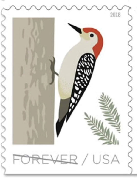 Forever Stamps 2018 Birds in Winter – Seasonal Wildlife, First-Class Postage