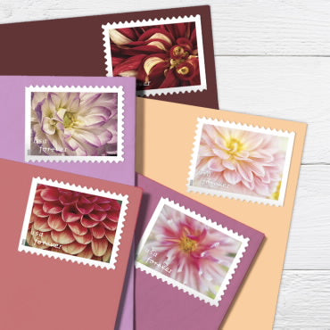 Forever Stamps 2025 Dahlias – Floral Collection, First-Class Postage