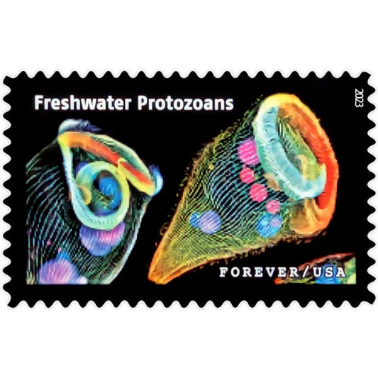 Forever Stamps 2023 Life Magnified – Freshwater Protozoans, First-Class Postage