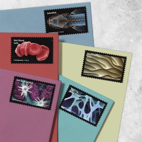 Forever Stamps 2023 Life Magnified – Freshwater Protozoans, First-Class Postage