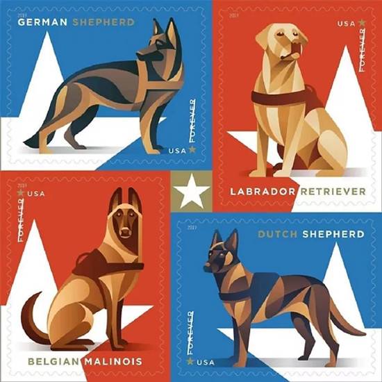 Forever Stamps 2019 Labrador Retriever – Honor & Service, First-Class Postage