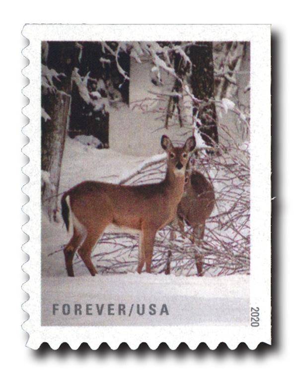 Forever Stamps 2020 Winter Scenes – Seasonal Celebration, First-Class Postage