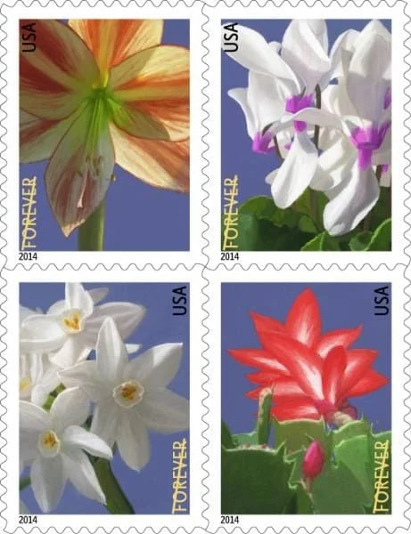 Forever Stamps 2014 Winter Flowers – Seasonal Blooms, First-Class Postage