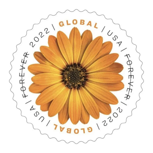 Global Forever Stamps 2022 African Daisy – International Rate