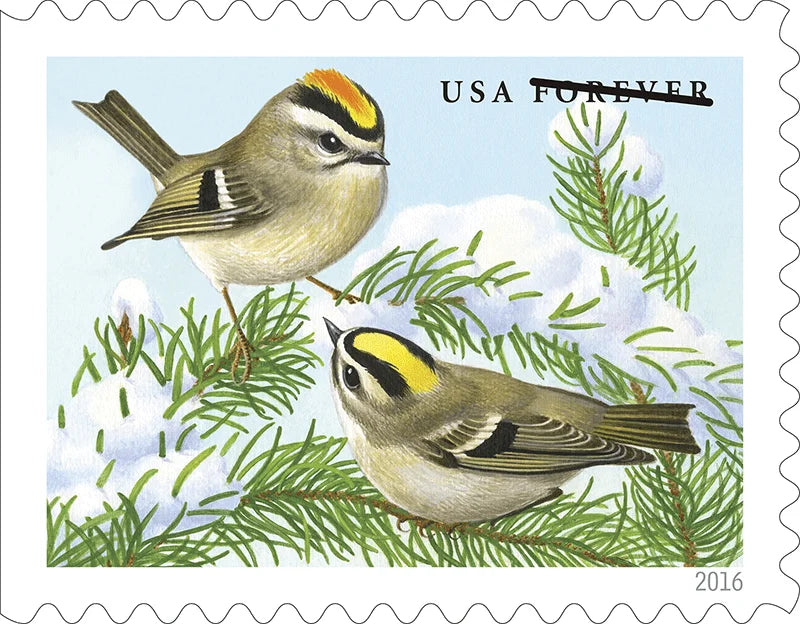 Forever Stamps 2016 Songbirds in Snow – Seasonal Wildlife, First-Class Postage