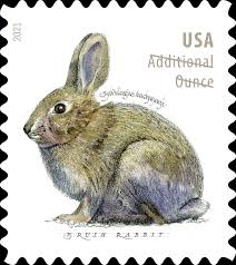 Additional Ounce Forever Stamps 2021 Brush Rabbit – Nature Series, Postage