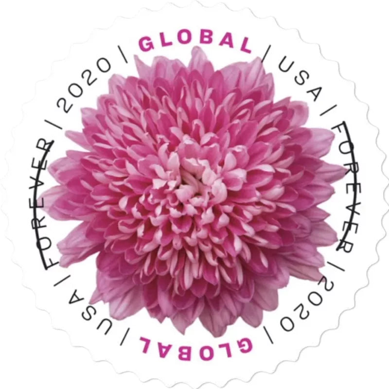 Global Forever Stamps 2020 Chrysanthemum – Floral Collection, International Rate