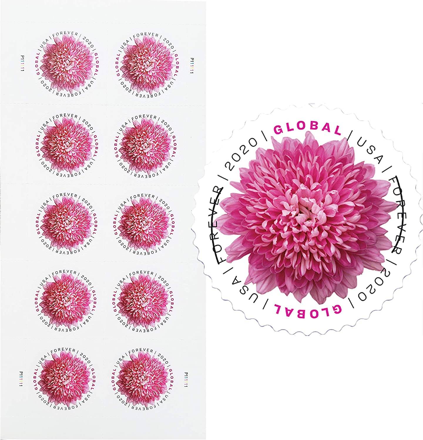 Global Forever Stamps 2020 Chrysanthemum – Floral Collection, International Rate