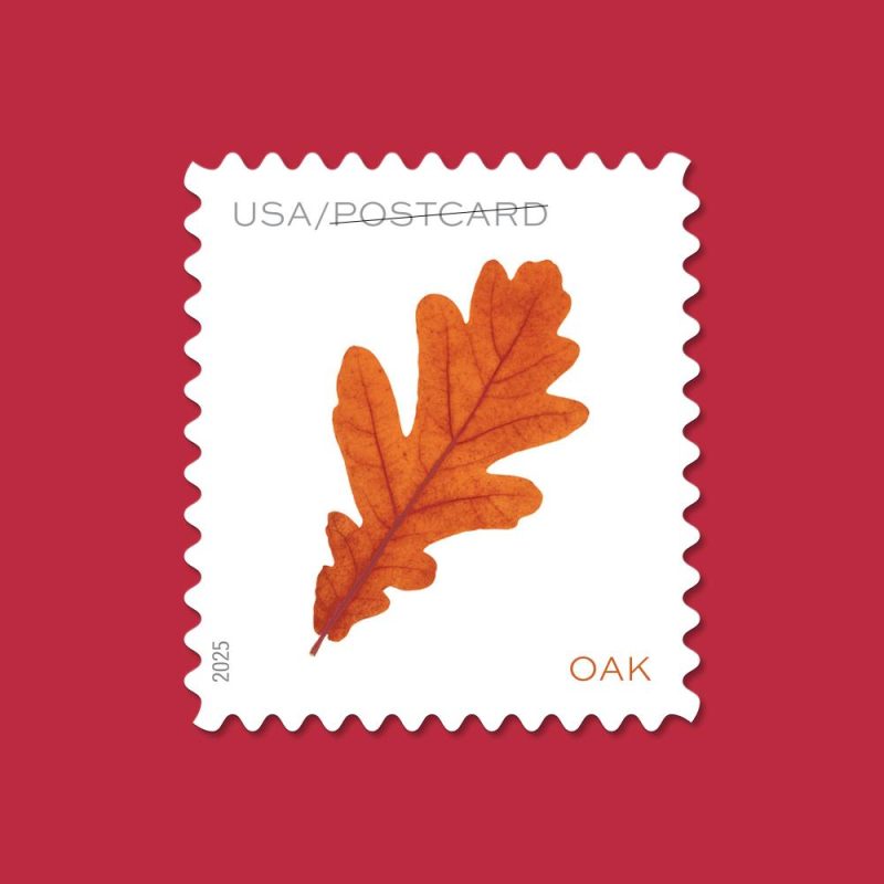 Postcard Rate Stamps 2025 Autumn Leaves – Nature Series, First-Class Rate
