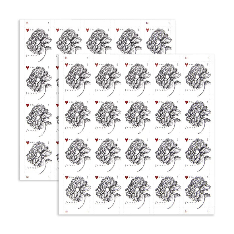 Forever Stamps 2015 Vintage Rose – Wedding Invitation & Love Celebration, First-Class Postage