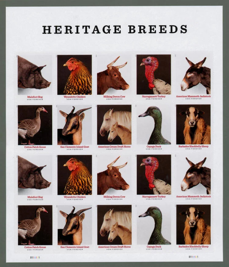 Forever Stamps 2021 Heritage Breeds – Nature Series, First-Class Postage