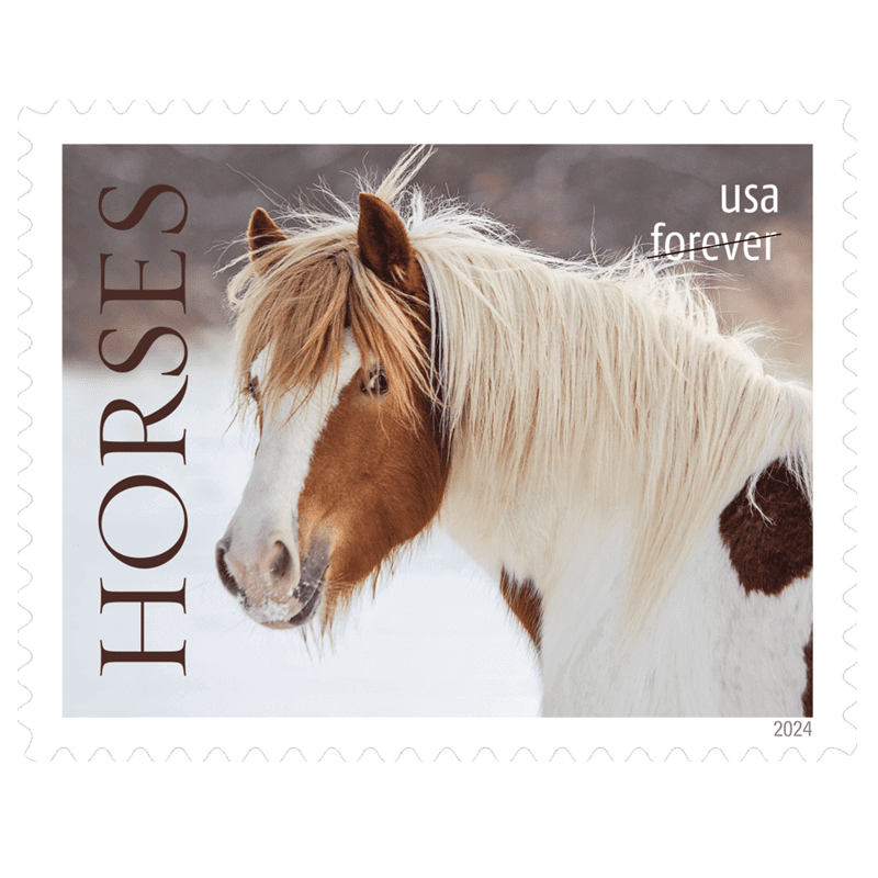 Forever Stamps 2024 Horses – Nature Series, First-Class Postage