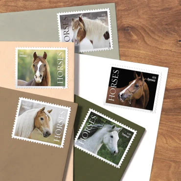 Forever Stamps 2024 Horses – Nature Series, First-Class Postage