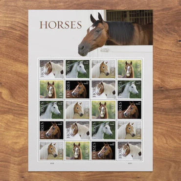 Forever Stamps 2024 Horses – Nature Series, First-Class Postage