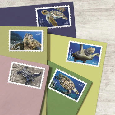 Forever Stamps 2024 Kemp’s Ridley Sea Turtle – Nature Series, First-Class Postage