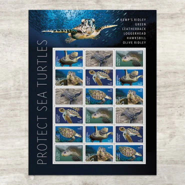 Forever Stamps 2024 Kemp’s Ridley Sea Turtle – Nature Series, First-Class Postage