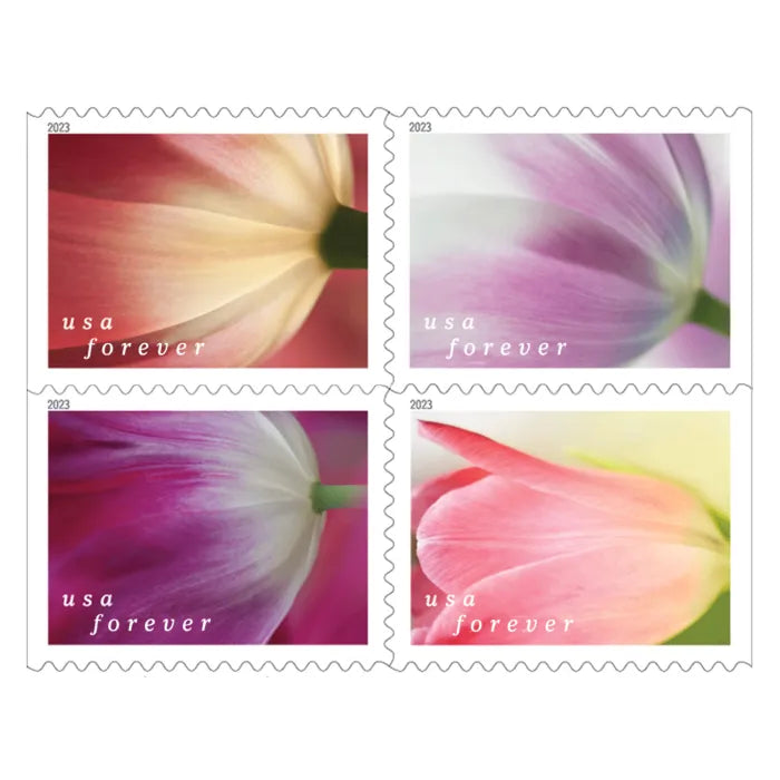 Forever Stamps 2023 Tulip Blossoms – Nature Series, First-Class Postage