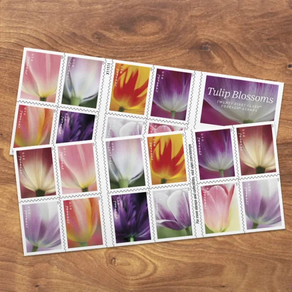 Forever Stamps 2023 Tulip Blossoms – Nature Series, First-Class Postage