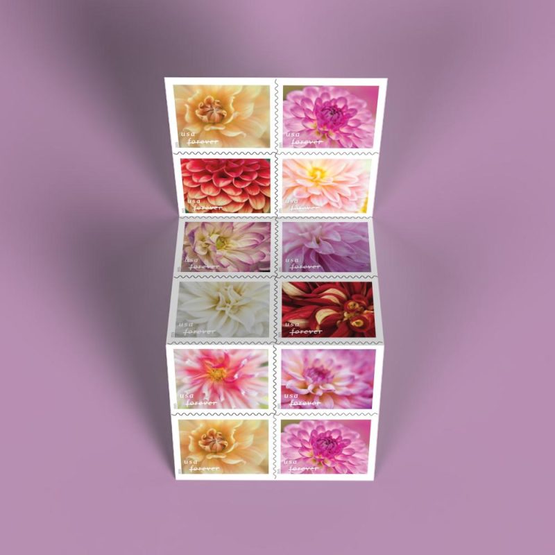 Forever Stamps 2025 Dahlias – Floral Collection, First-Class Postage