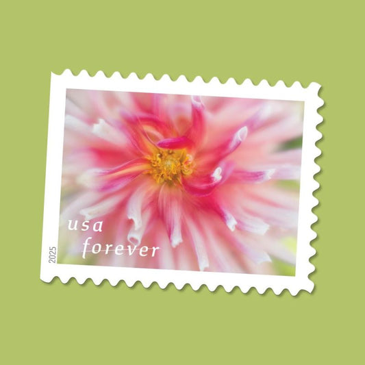 Forever Stamps 2025 Dahlias – Floral Collection, First-Class Postage